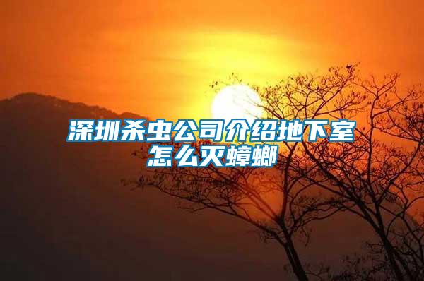 深圳杀虫公司介绍地下室怎么灭蟑螂