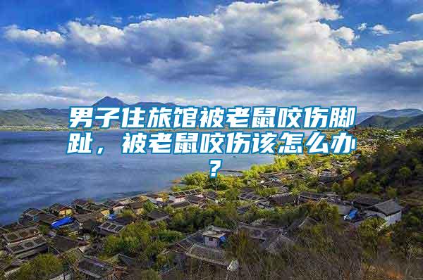 男子住旅馆被老鼠咬伤脚趾，被老鼠咬伤该怎么办？