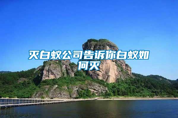 灭白蚁公司告诉你白蚁如何灭