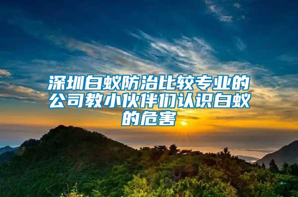 深圳白蚁防治比较专业的公司教小伙伴们认识白蚁的危害