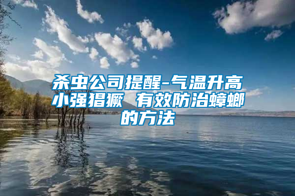 杀虫公司提醒-气温升高小强猖獗 有效防治蟑螂的方法