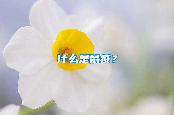 什么是鼠疫？