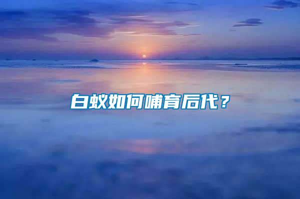 白蚁如何哺育后代？