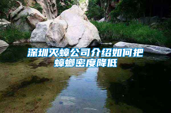 深圳灭蟑公司介绍如何把蟑螂密度降低