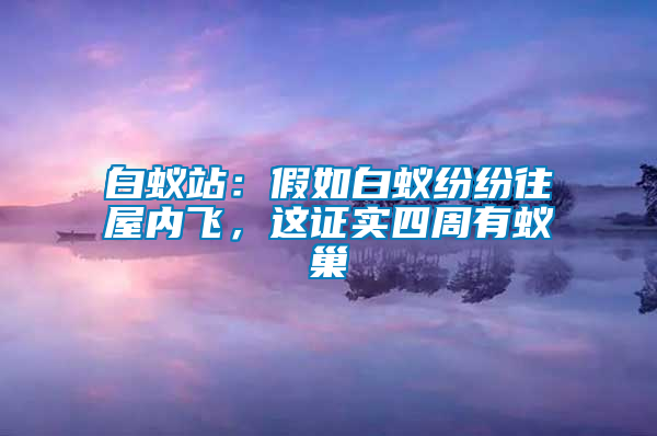 白蚁站：假如白蚁纷纷往屋内飞，这证实四周有蚁巢