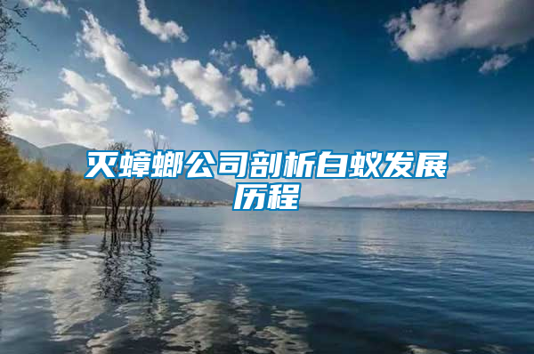 灭蟑螂公司剖析白蚁发展历程