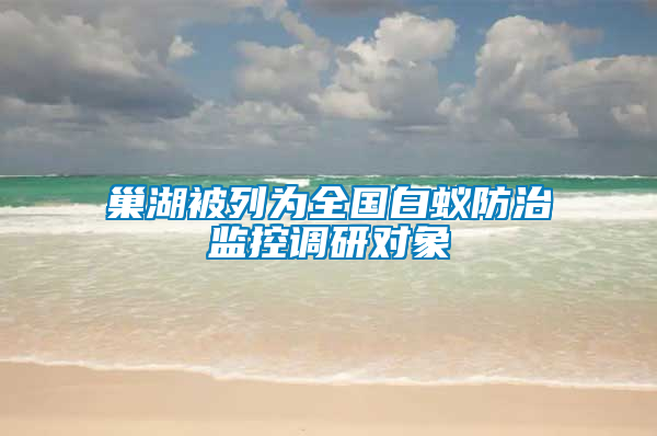 巢湖被列为全国白蚁防治监控调研对象