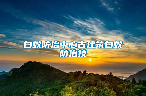 白蚁防治中心古建筑白蚁防治技