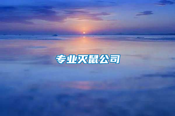 专业灭鼠公司