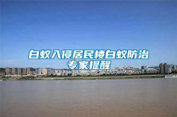 白蚁入侵居民楼白蚁防治专家提醒