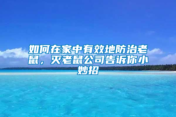 如何在家中有效地防治老鼠，灭老鼠公司告诉你小妙招