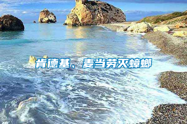 肯德基、麦当劳灭蟑螂