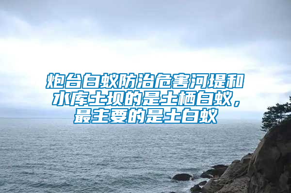 炮台白蚁防治危害河堤和水库土坝的是土栖白蚁，最主要的是土白蚁