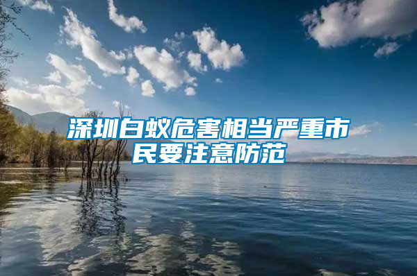 深圳白蚁危害相当严重市民要注意防范