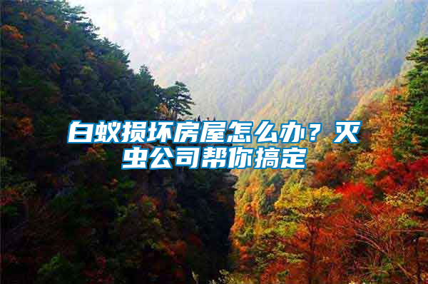 白蚁损坏房屋怎么办？灭虫公司帮你搞定