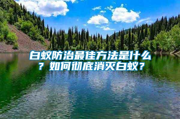 白蚁防治最佳方法是什么？如何彻底消灭白蚁？