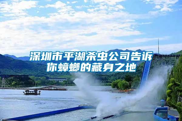 深圳市平湖杀虫公司告诉你蟑螂的藏身之地