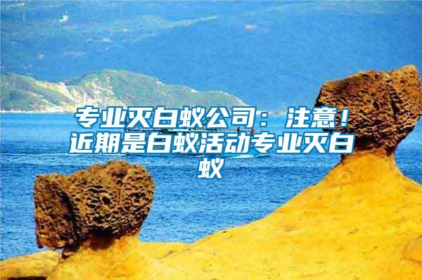 专业灭白蚁公司：注意！近期是白蚁活动专业灭白蚁