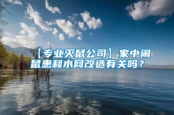 【专业灭鼠公司】家中闹鼠患和水网改造有关吗？