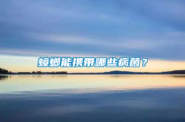 蟑螂能携带哪些病菌？