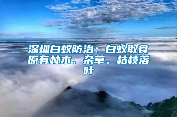 深圳白蚁防治：白蚁取食原有林木、杂草、枯枝落叶