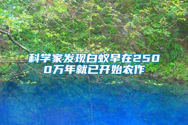 科学家发现白蚁早在2500万年就已开始农作