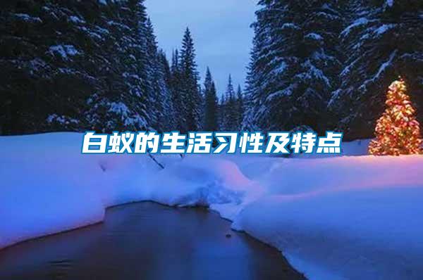 白蚁的生活习性及特点