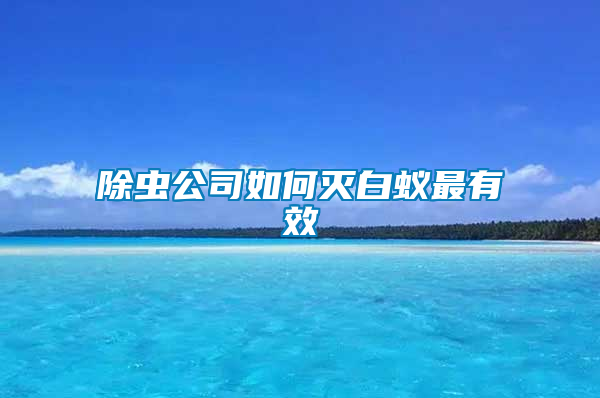 除虫公司如何灭白蚁最有效