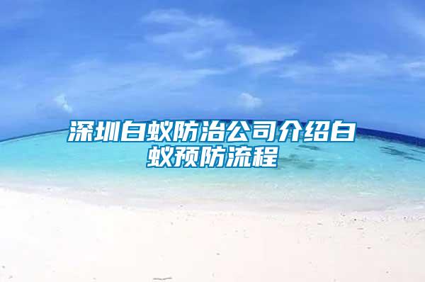 深圳白蚁防治公司介绍白蚁预防流程