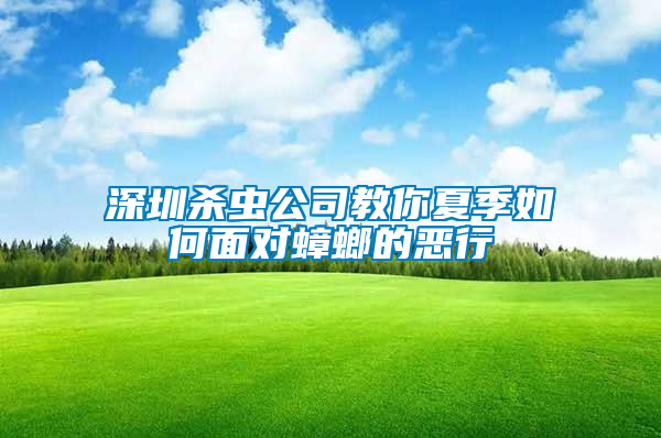 深圳杀虫公司教你夏季如何面对蟑螂的恶行