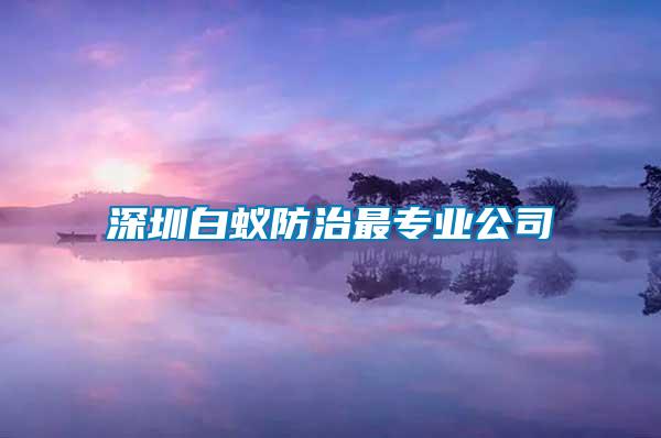 深圳白蚁防治最专业公司