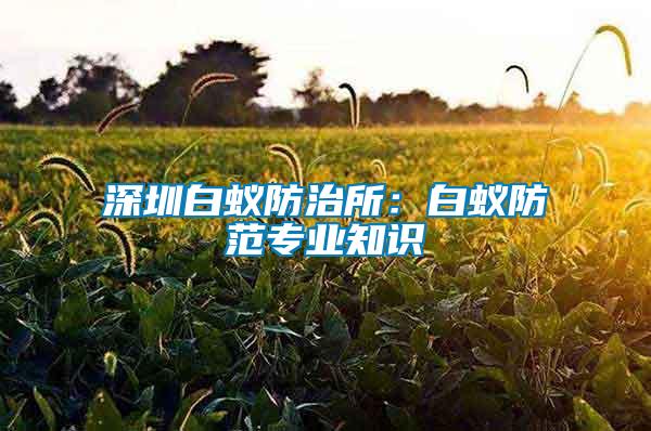 深圳白蚁防治所：白蚁防范专业知识