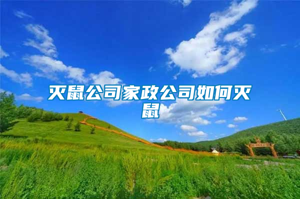 灭鼠公司家政公司如何灭鼠