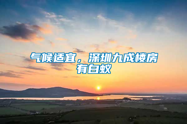 气候适宜，深圳九成楼房有白蚁