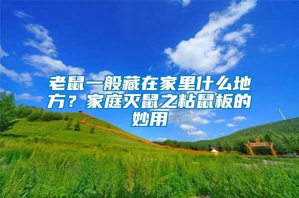 老鼠一般藏在家里什么地方？家庭灭鼠之粘鼠板的妙用