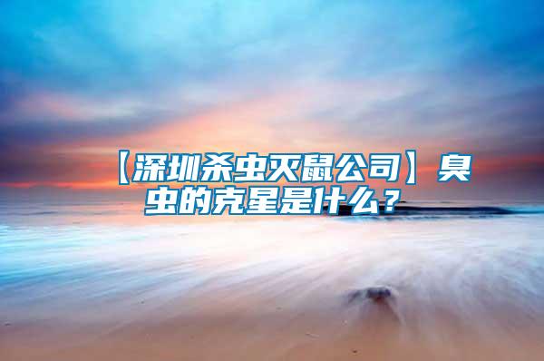 【深圳杀虫灭鼠公司】臭虫的克星是什么？