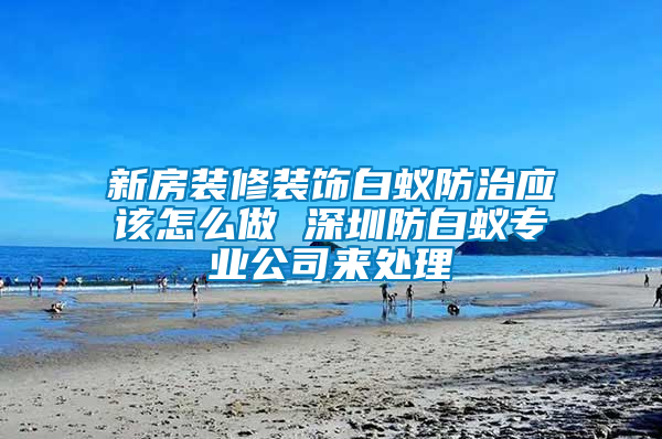 新房装修装饰白蚁防治应该怎么做 深圳防白蚁专业公司来处理