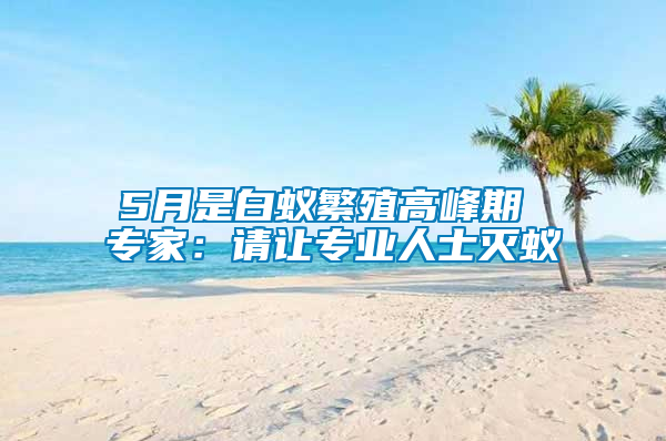 5月是白蚁繁殖高峰期 专家：请让专业人士灭蚁