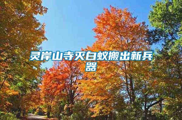 灵岸山寺灭白蚁搬出新兵器