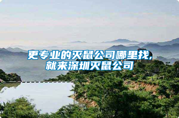 更专业的灭鼠公司哪里找,就来深圳灭鼠公司