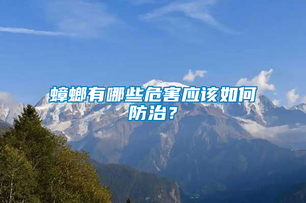 蟑螂有哪些危害应该如何防治？