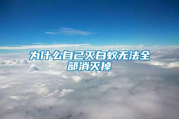 为什么自己灭白蚁无法全部消灭掉