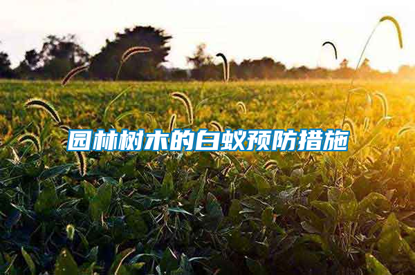 园林树木的白蚁预防措施