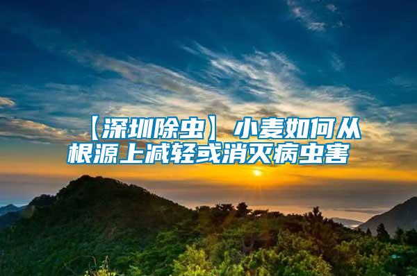 【深圳除虫】小麦如何从根源上减轻或消灭病虫害