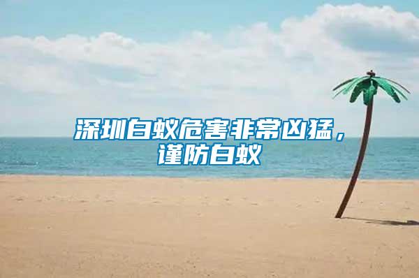 深圳白蚁危害非常凶猛，谨防白蚁