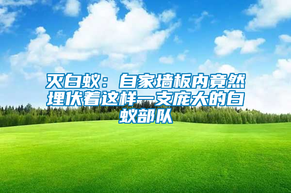 灭白蚁：自家墙板内竟然埋伏着这样一支庞大的白蚁部队