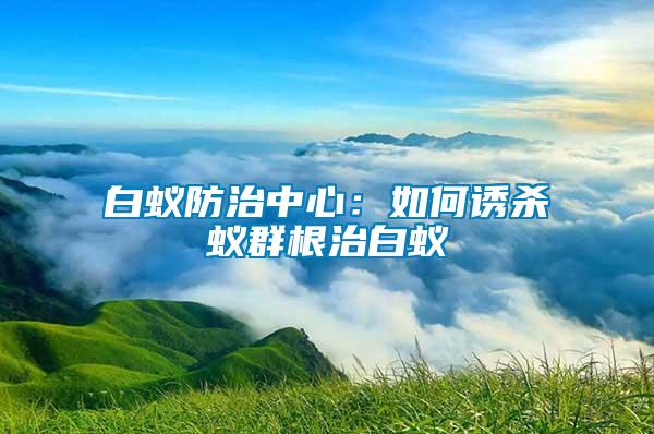 白蚁防治中心：如何诱杀蚁群根治白蚁