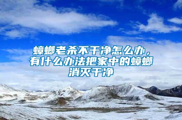 蟑螂老杀不干净怎么办，有什么办法把家中的蟑螂消灭干净