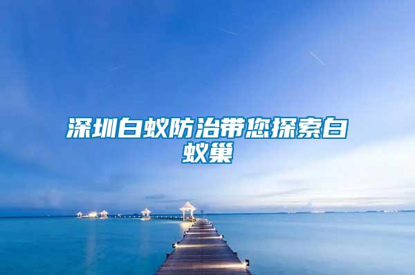 深圳白蚁防治带您探索白蚁巢