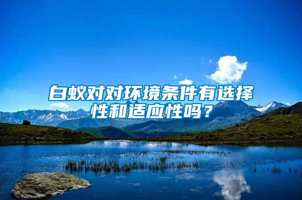 白蚁对对环境条件有选择性和适应性吗？